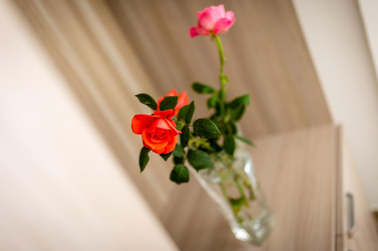 Le Calette Rooms - Puglia Mia Apartments Monopoli Εξωτερικό φωτογραφία